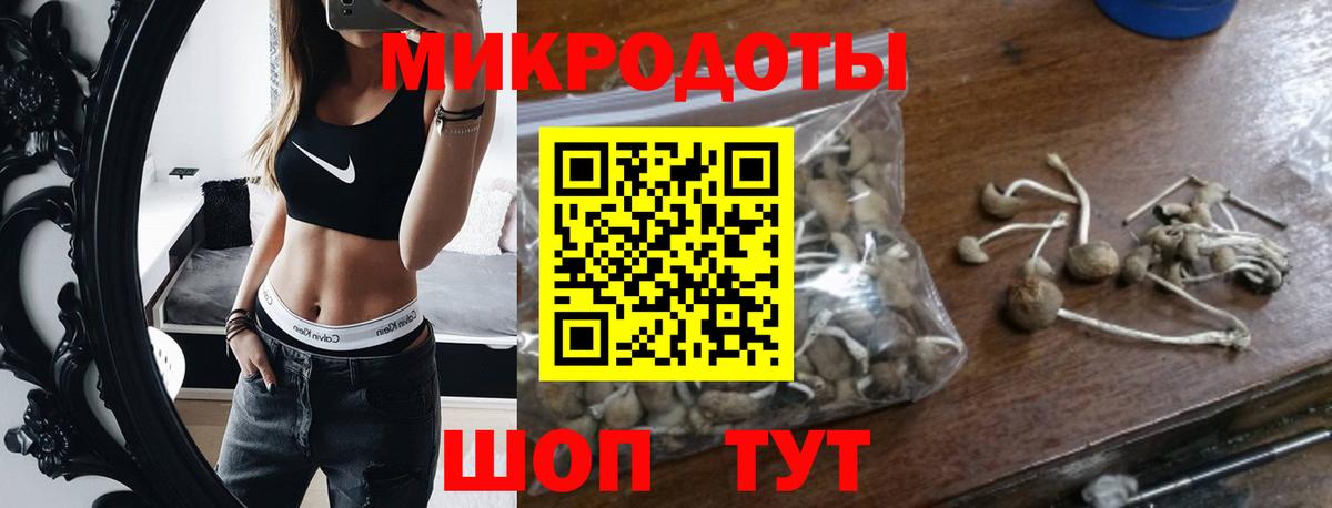 Псилоцибиновые грибы GOLDEN TEACHER  Вход с VPN  Борзя 